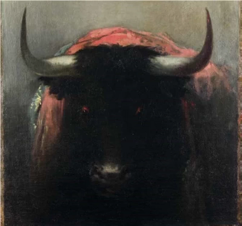 Il toro barbuto